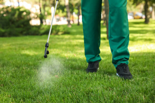 Best Exterminator Services  in Coats Bend, AL
