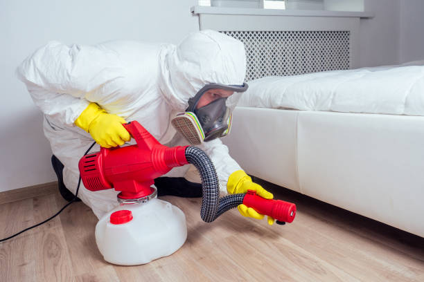 Best Local Pest Control Services  in Coats Bend, AL