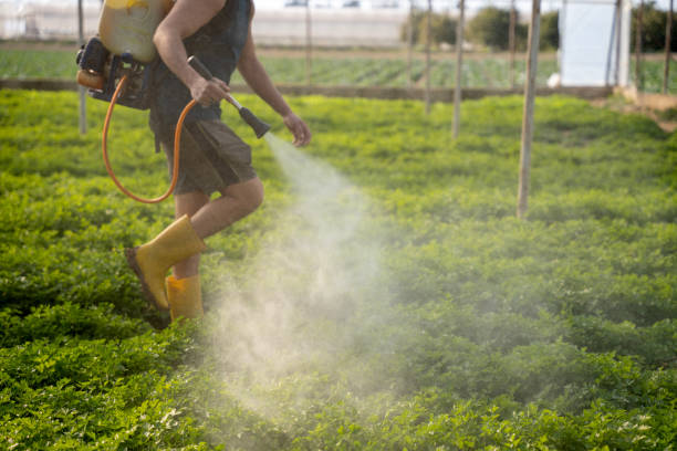 Best Affordable Pest Control Services  in Coats Bend, AL
