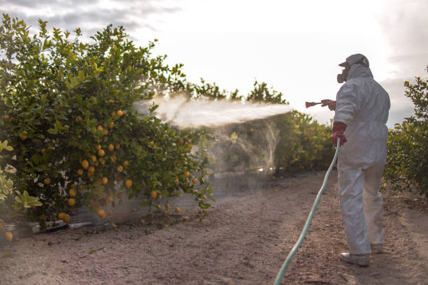 Best Wildlife Control Services  in Coats Bend, AL