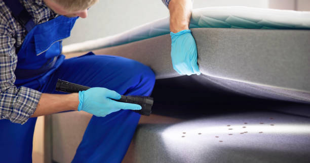 Best Pest Inspection Near Me  in Coats Bend, AL