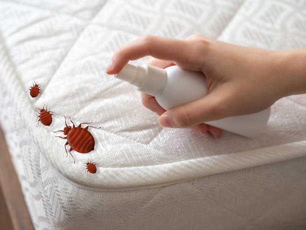 Coats Bend, AL Pest Control Company