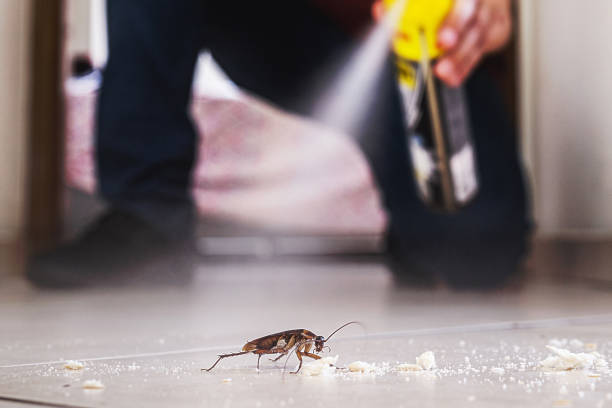 Best Best Pest Control Companies  in Coats Bend, AL