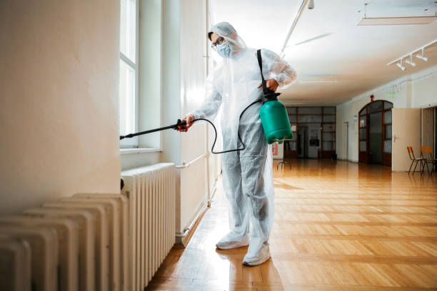 Best Best Pest Control Companies  in Coats Bend, AL
