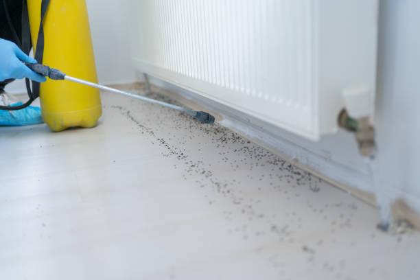 Best Pest Removal Services  in Coats Bend, AL