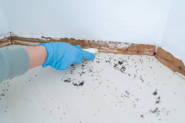 Best Pest Removal Services  in Coats Bend, AL
