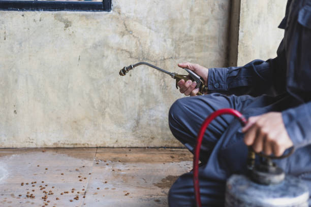 Reliable Coats Bend, AL Pest Control Solutions