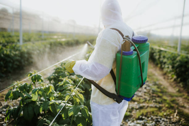 Best Best Pest Control Companies  in Coats Bend, AL